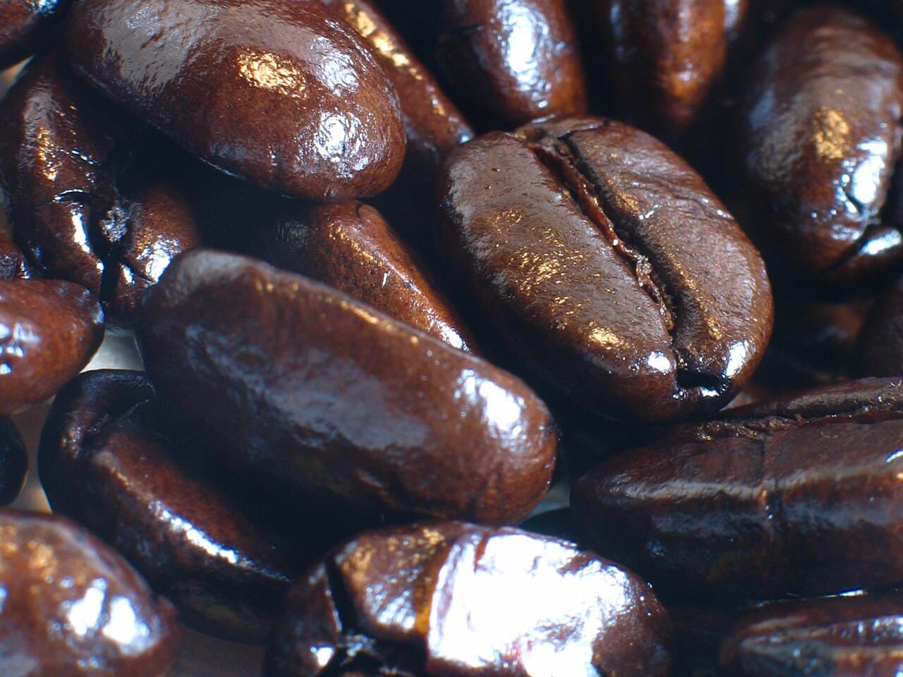 Untracked Coffee Beans & Milk Cartons